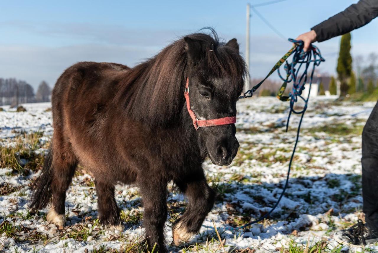 Orzechowa Ostoja Noclegi Energylandia Bachowice Exteriér fotografie